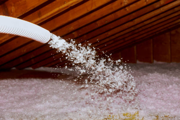 Best Cellulose Insulation in Goodwater, AL