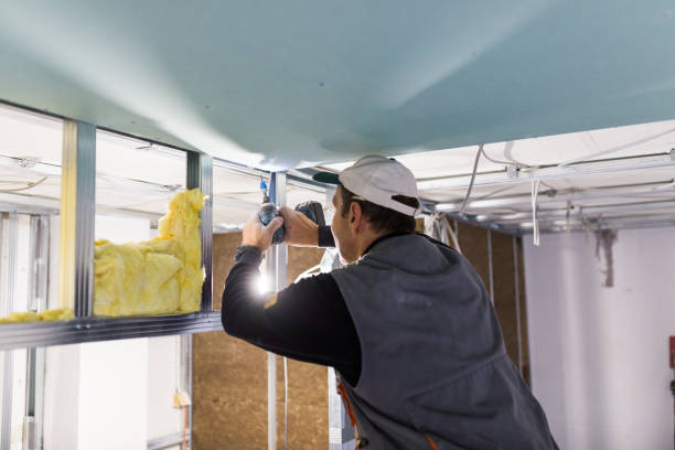 Best Specialized Insulation Services in Goodwater, AL